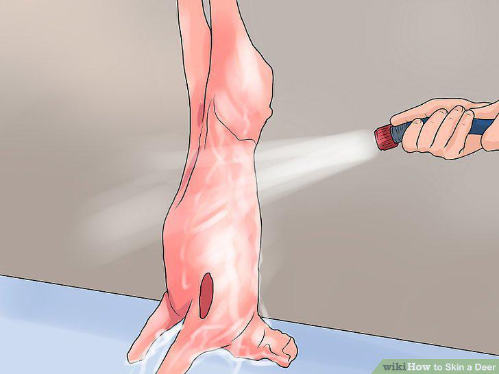 Step 18
