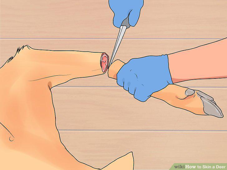 Step 3