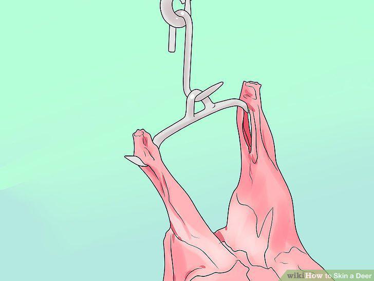 Step 7