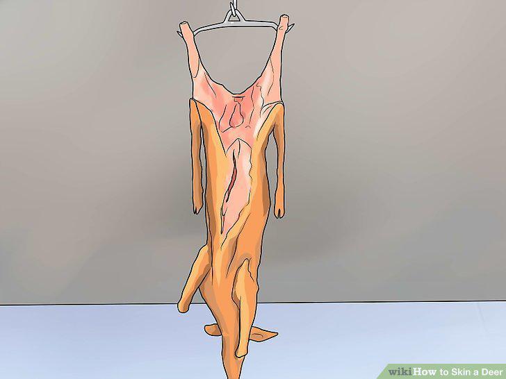 Step 8
