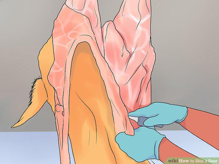Step 9