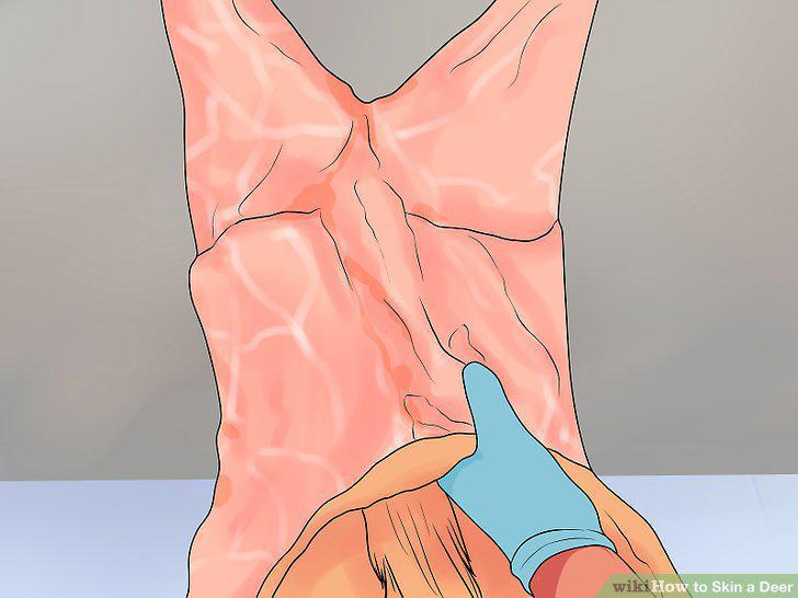 Step 10