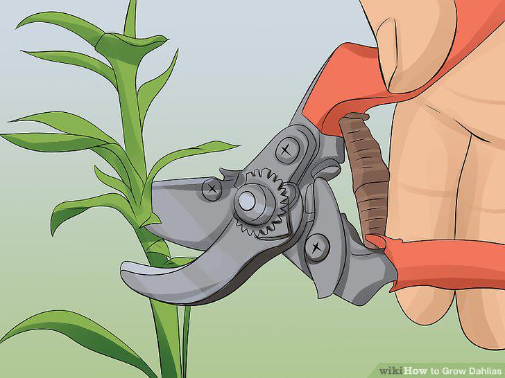 Step 14