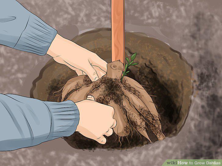 Step 4