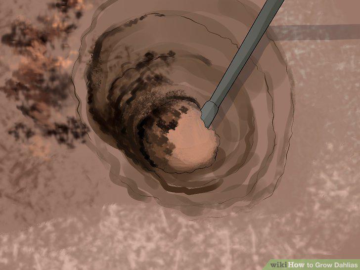 Step 8