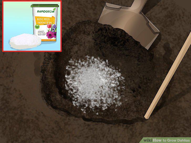 Step 9
