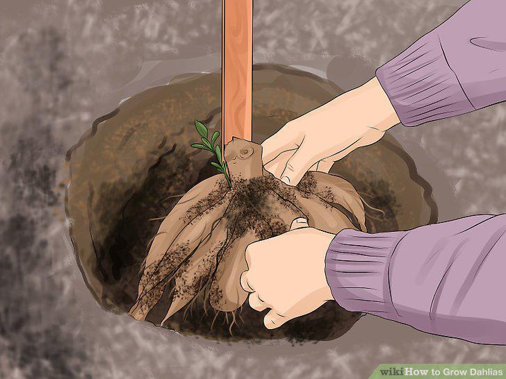 Step 10