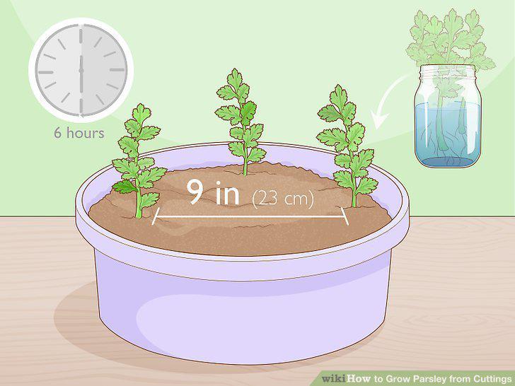 Step 10