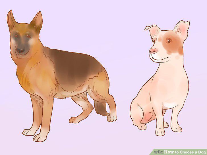 Step 11