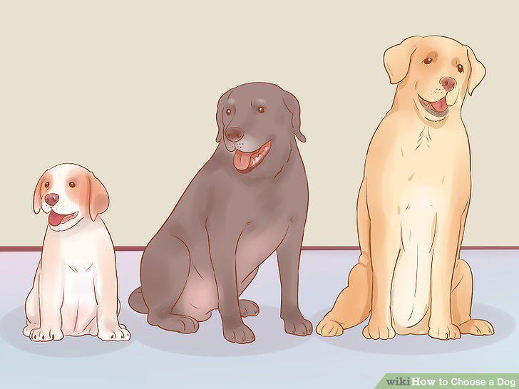 Step 12