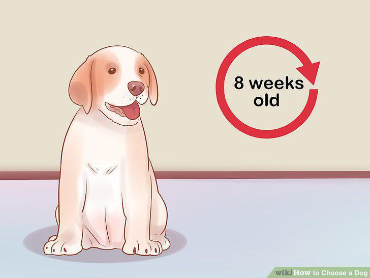 Step 14