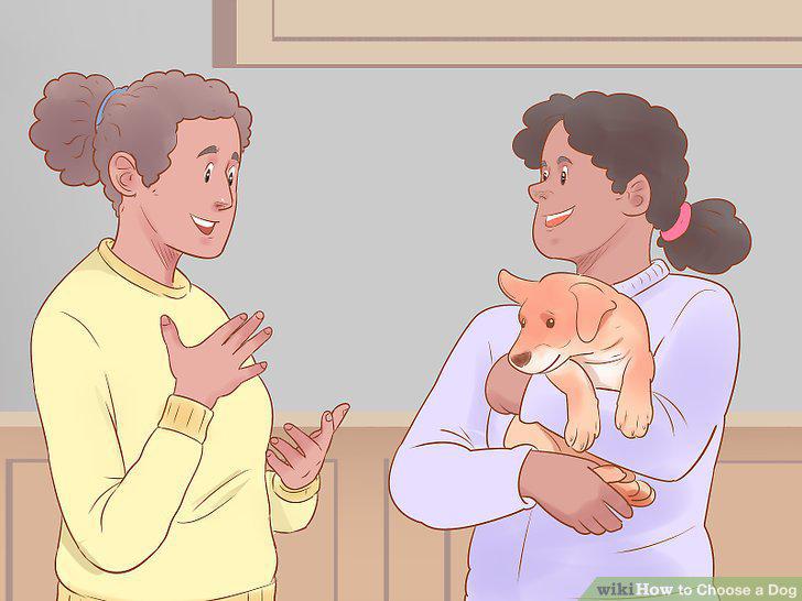 Step 15