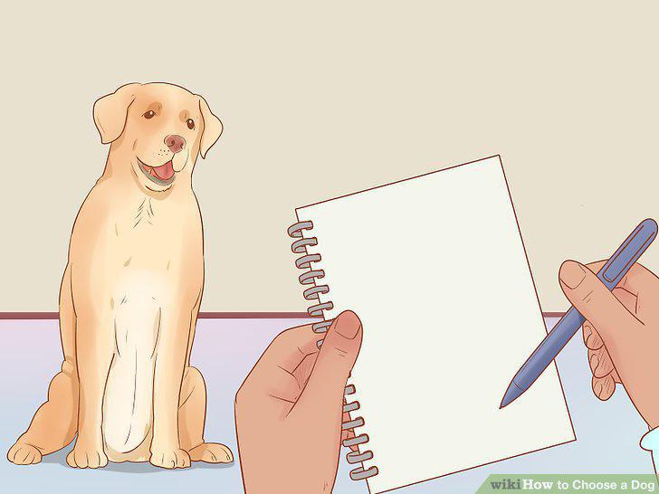 Step 16
