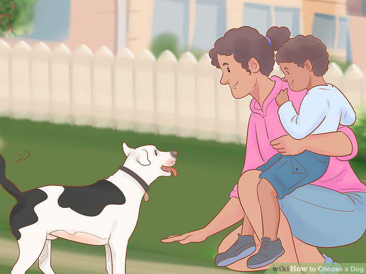 Step 18
