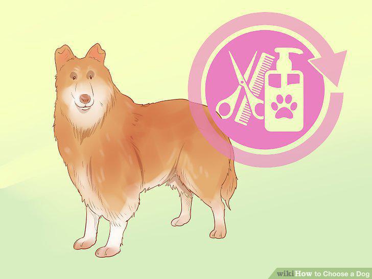 Step 10