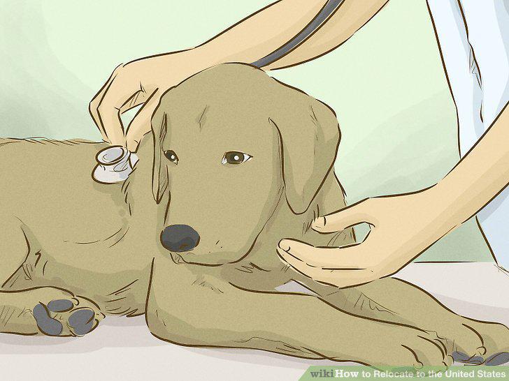 Step 23