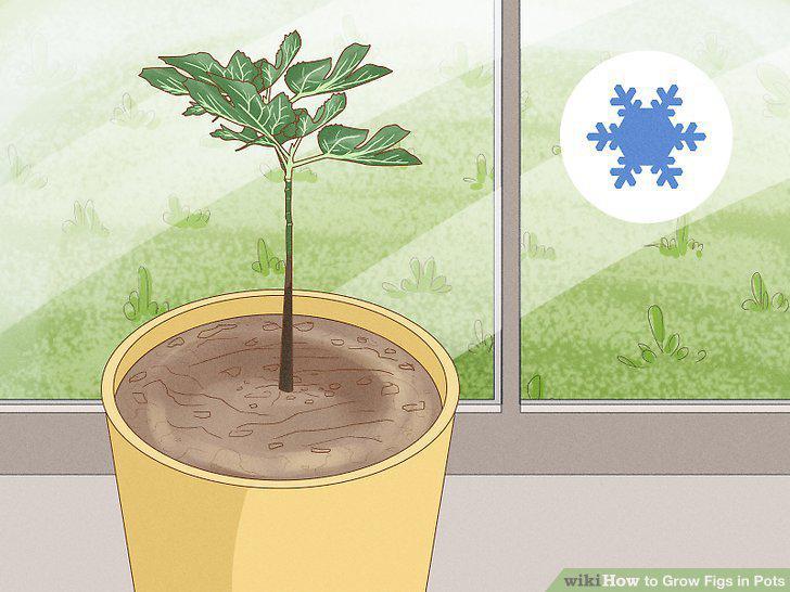 Step 12