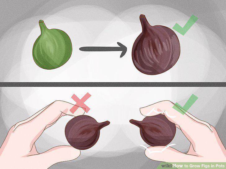 Step 15