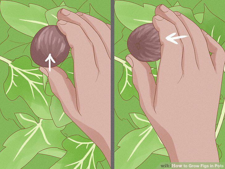Step 16