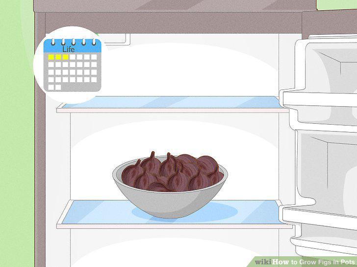 Step 17