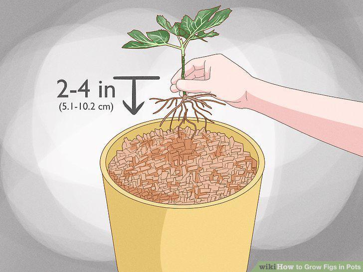 Step 5