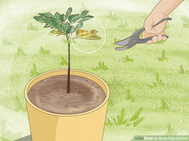 Step 10