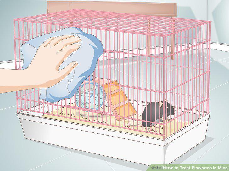 Step 5