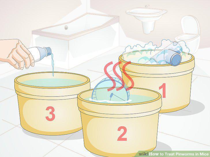 Step 8
