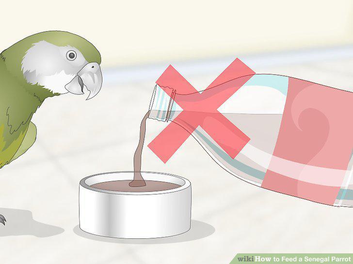 Step 11