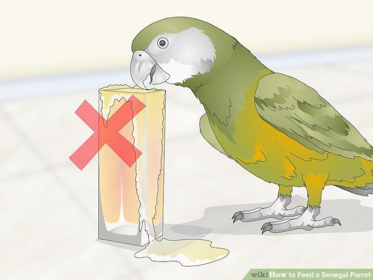 Step 12