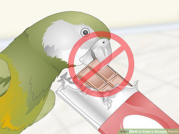 Step 13