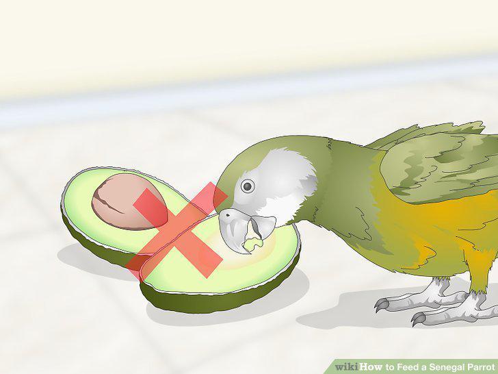 Step 14