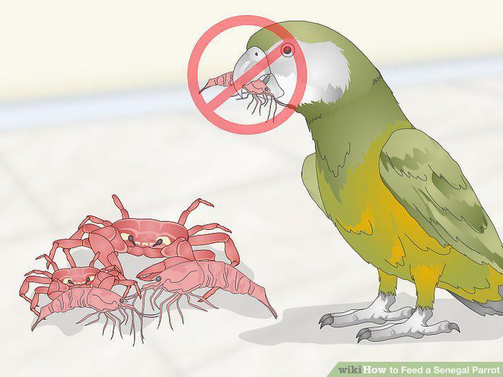 Step 15