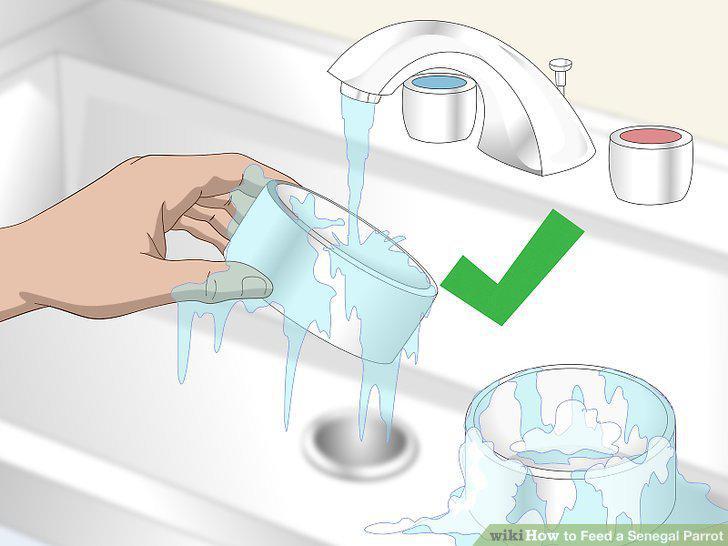 Step 16