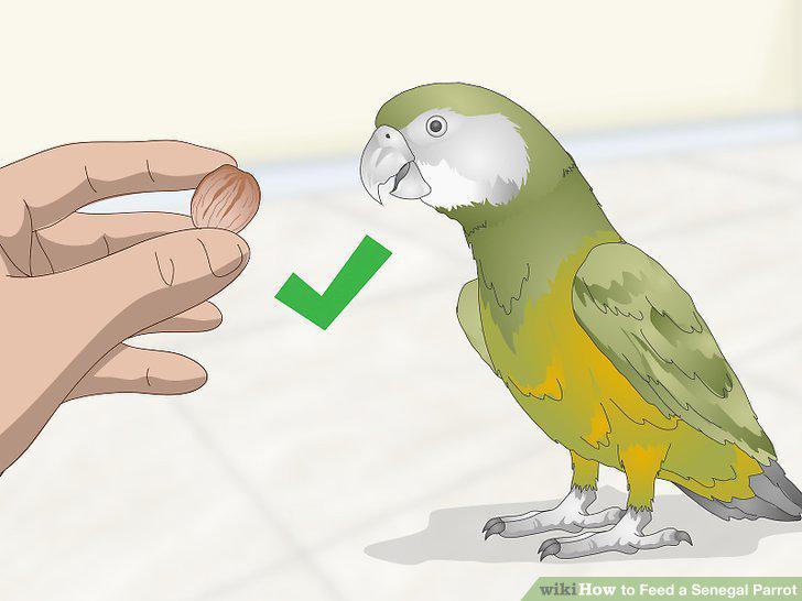 Step 5