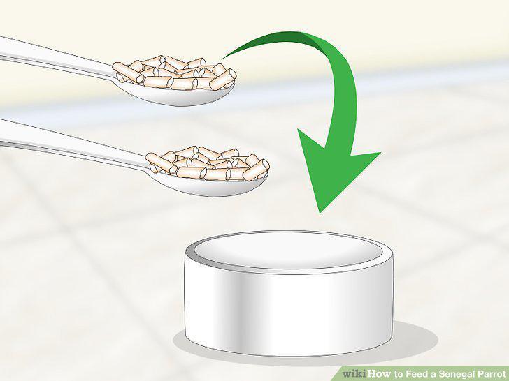Step 8