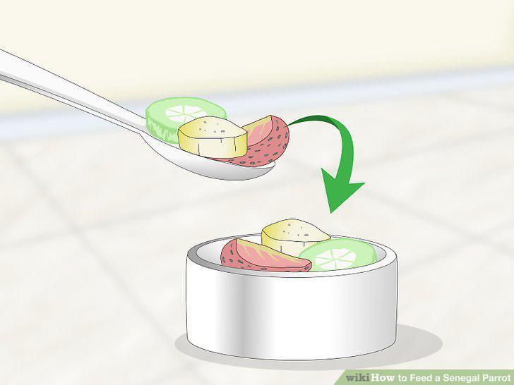 Step 9