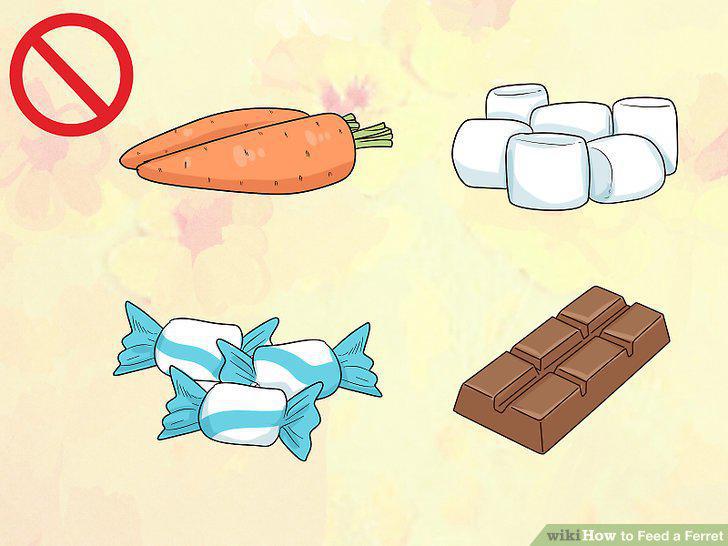 Step 11