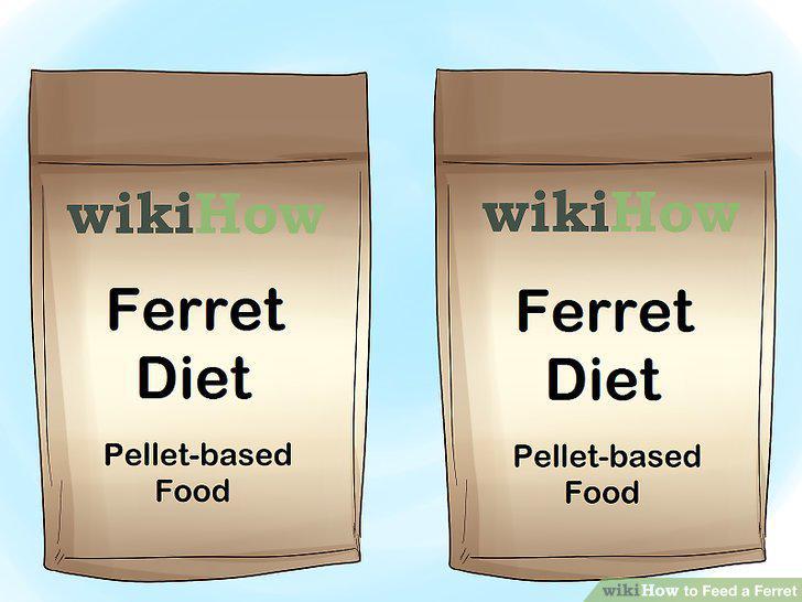 Step 12