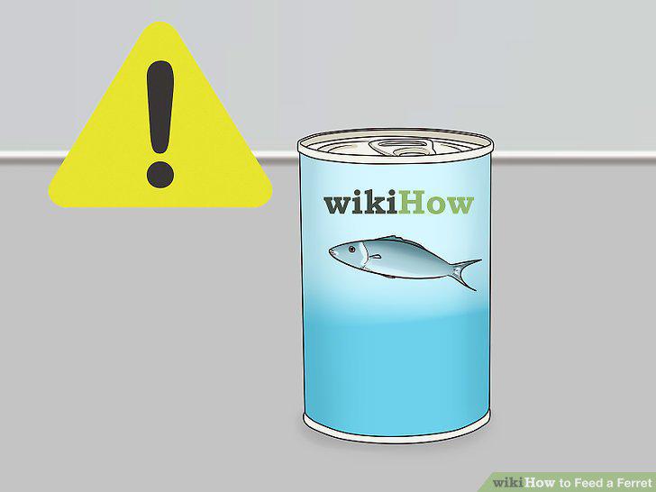 Step 13