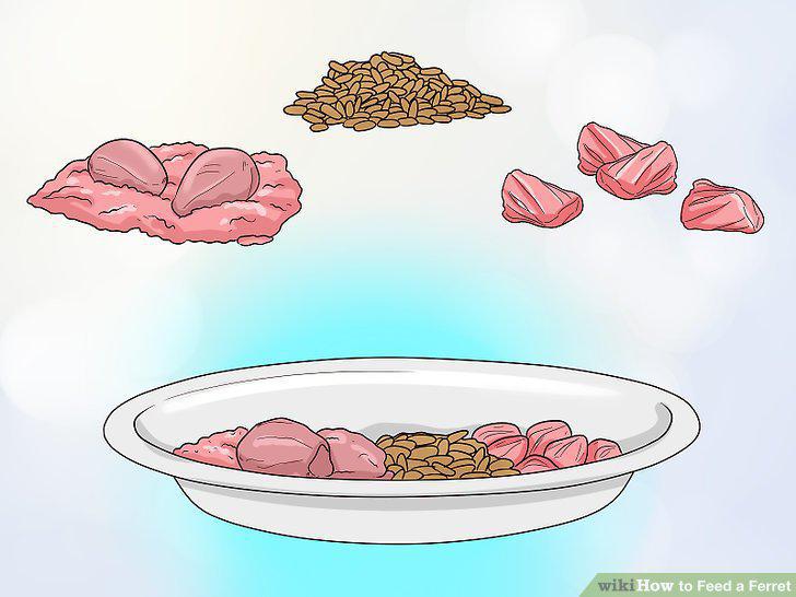 Step 15