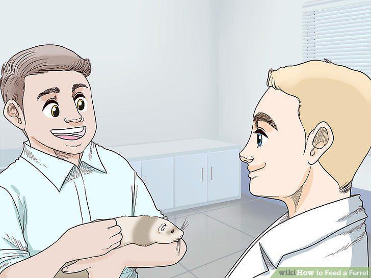 Step 16