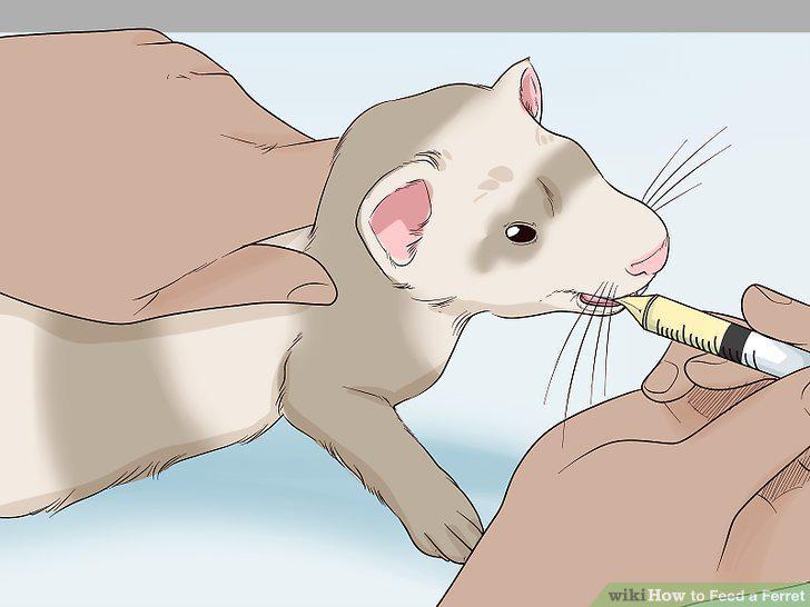 Step 17