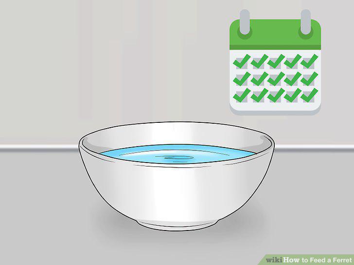 Step 9