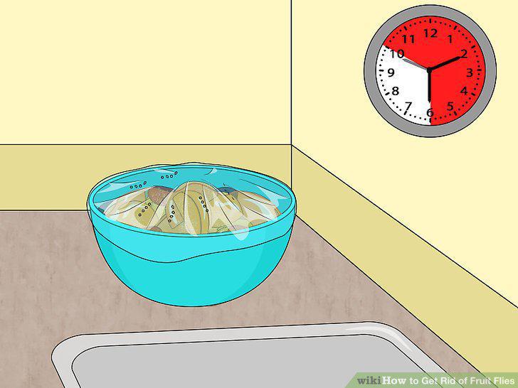 Step 11