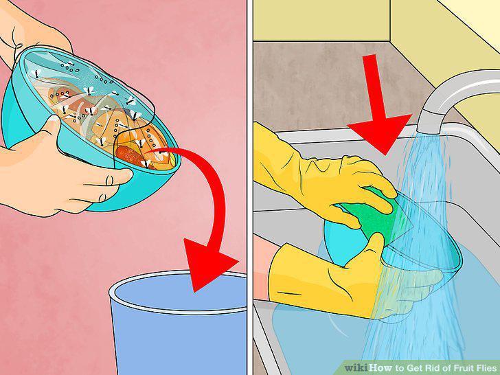 Step 12
