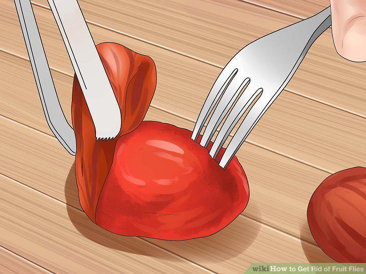 Step 14