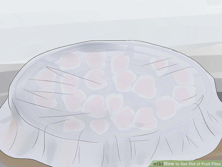 Step 15