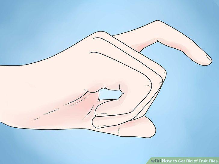 Step 16