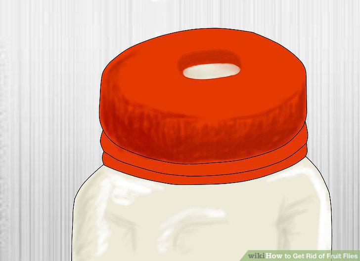 Step 17